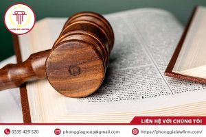 Các giai đoạn tố tụng hình sự